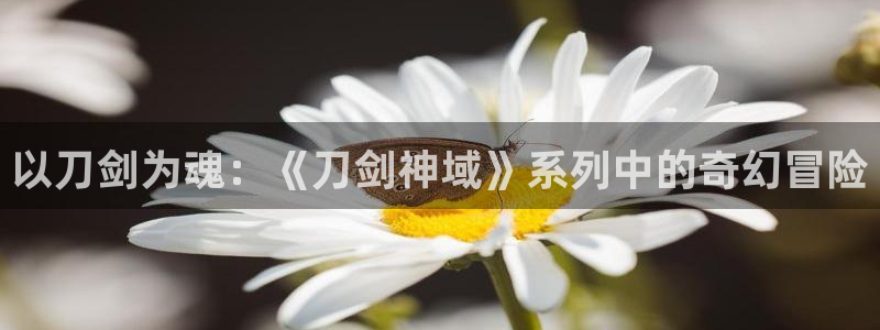 境界触发者2樱花动漫：以刀剑为魂：《刀剑神域》系列中的奇幻冒险